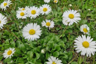 Was, wenn kochen zu deinem bewussten Ausgleich wird?